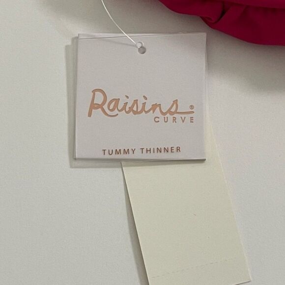 Raisins Curve Swimsuit Bottom in Pink Size 18W - Picture 9 of 10